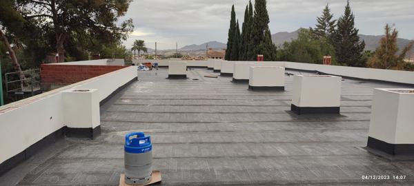 This is the cutest and loveliest cat I have ever met in my life. He is BU BU, a cat with 6 fingers, which is unusual, but in fact, smarter than any cat. He meows every time he sees me, and jumps to my bed and sits with me.